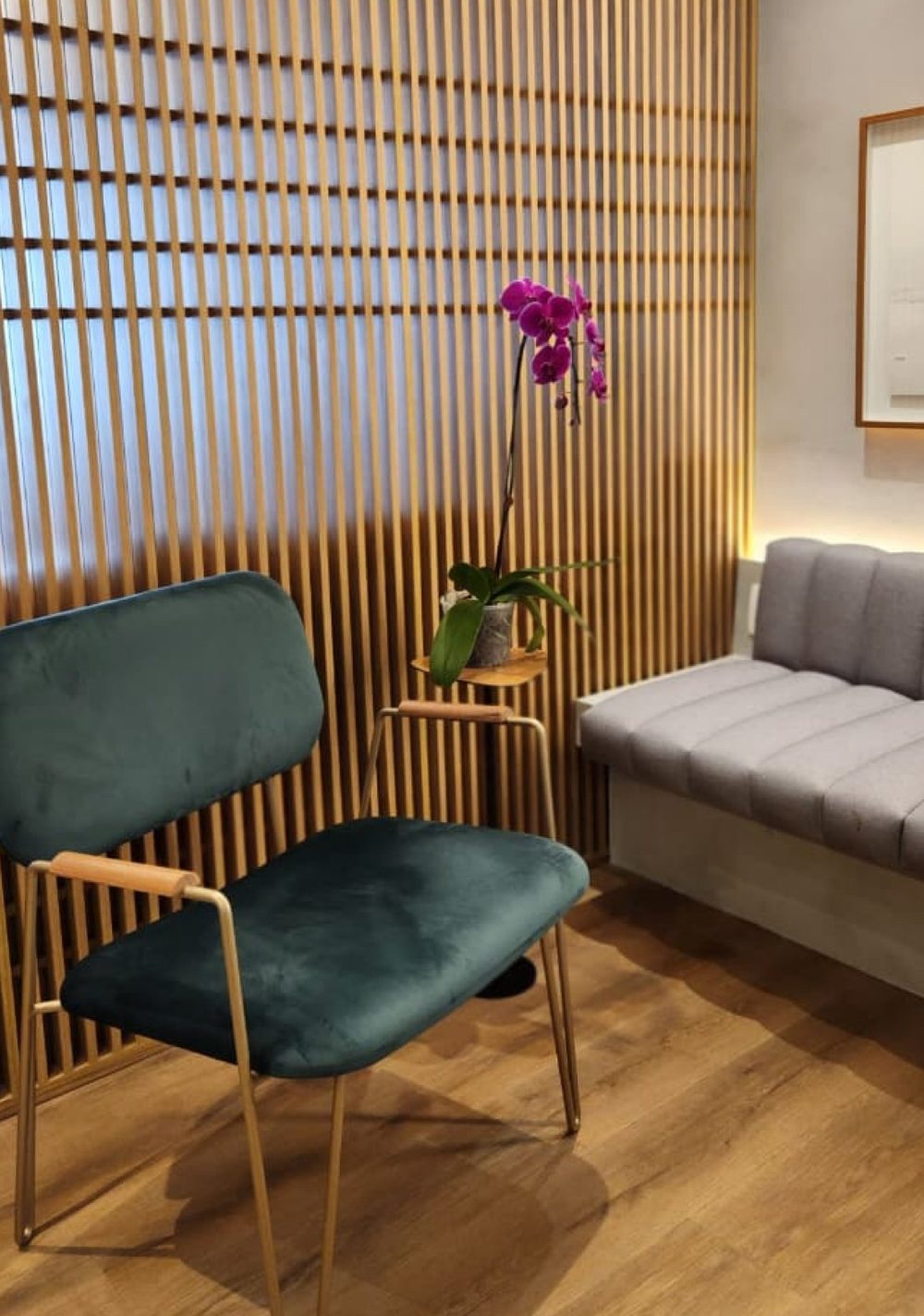 Escritório Bachini Advocacia